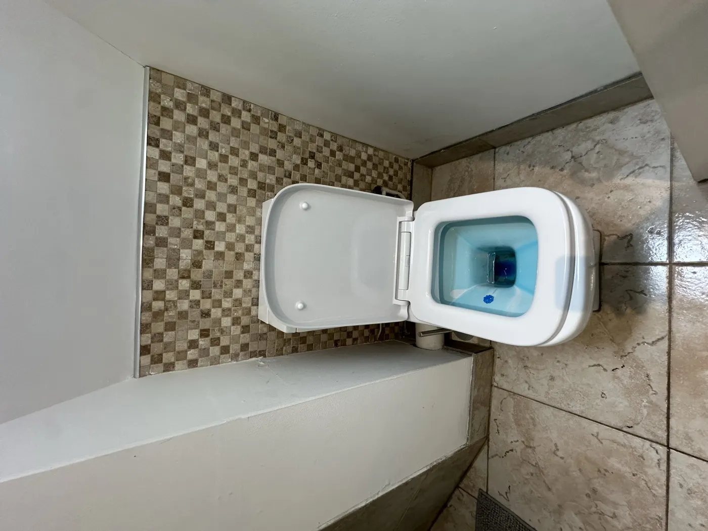 Sparkling clean toilet and mosaic tiles after a Deposit Saver bathroom deep clean